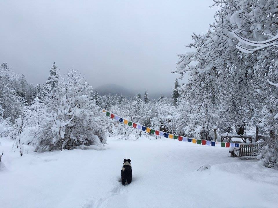 Happy Winter Solstice