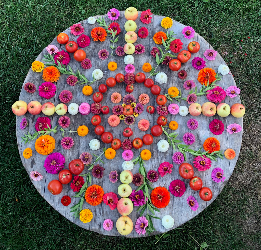 Fall Equinox and The Yellowing of the Leaves