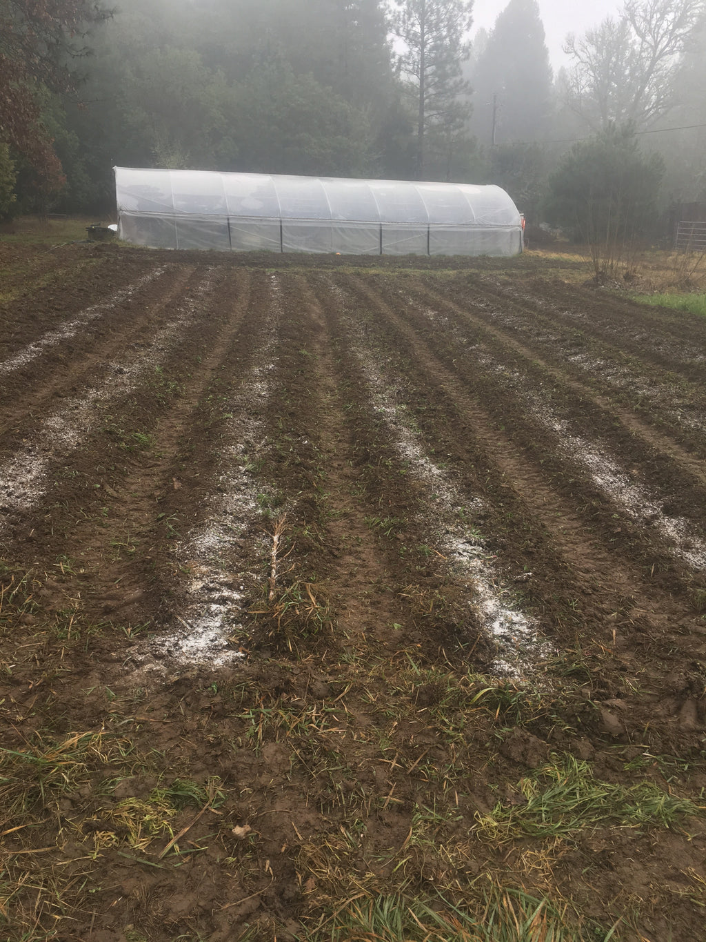 Winter Garden Planning