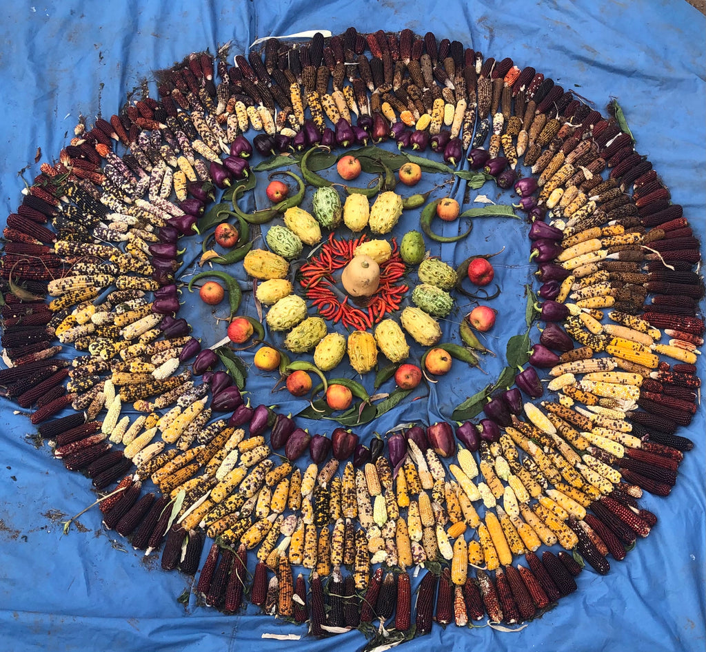 Fall Seed Academy 2022- Join the Seed Movement & Become a Seed Steward