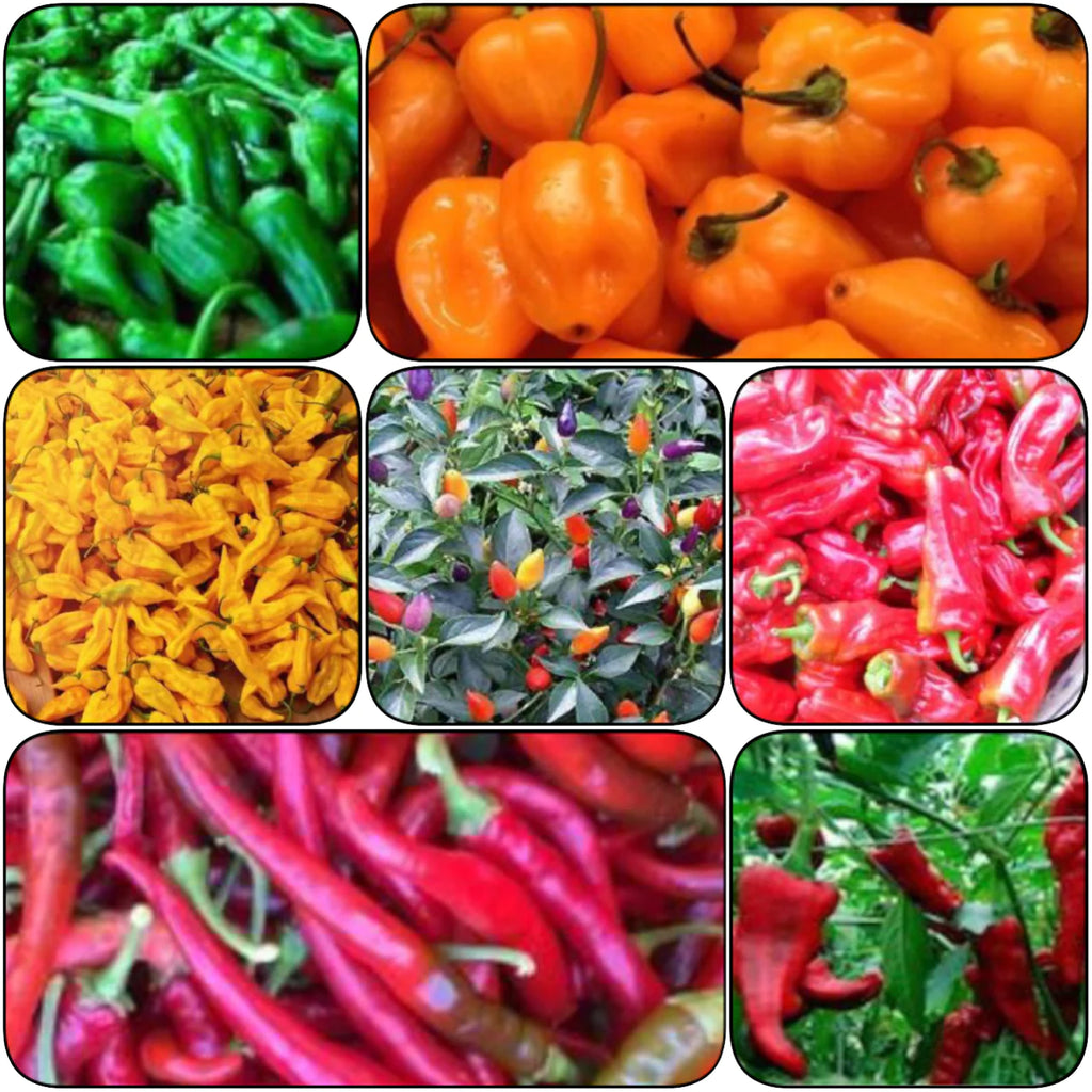 Pass the Pepper or Chilli Please!