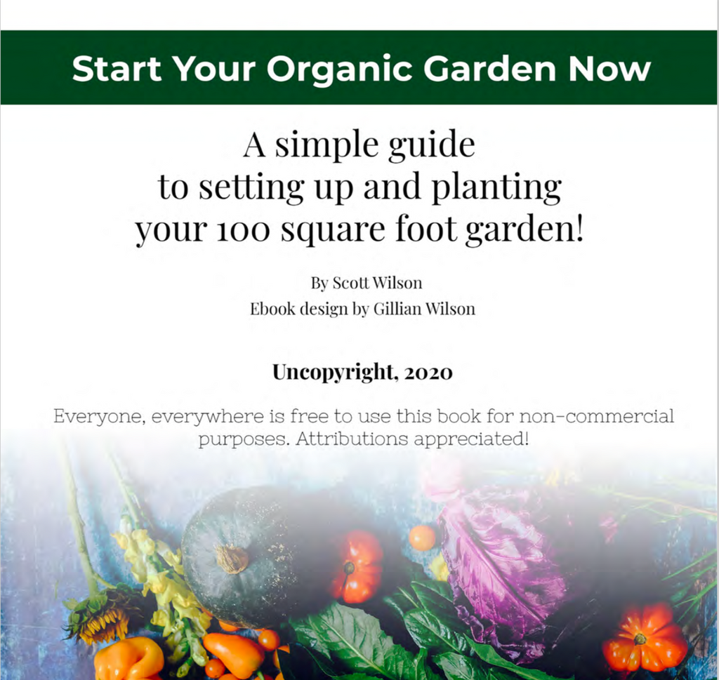 The 100 Square Foot Garden