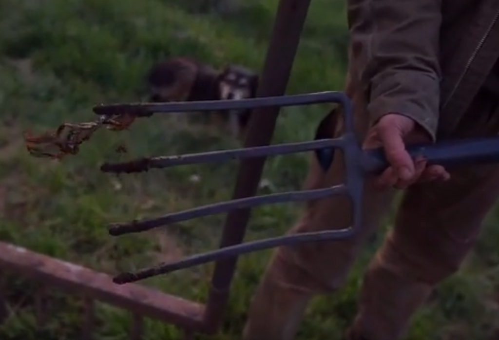 Bed preparation with a Broad Fork vs. a Digging Fork