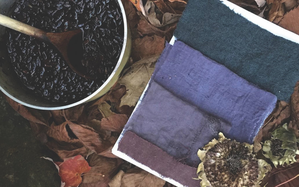 Beyond the Bouquet: Fun Ways to Use Flowers