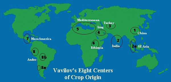 Botanical Backgrounds & Vavilov’s Centers of Diversity