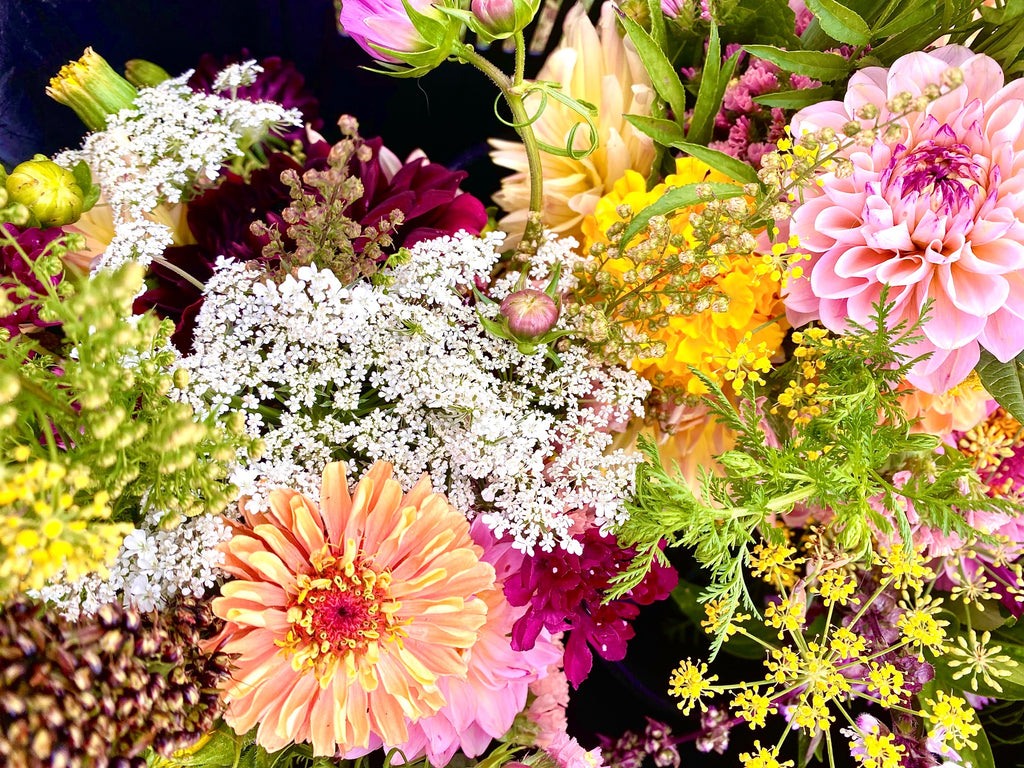 10 Tips To A Cut Flower Garden