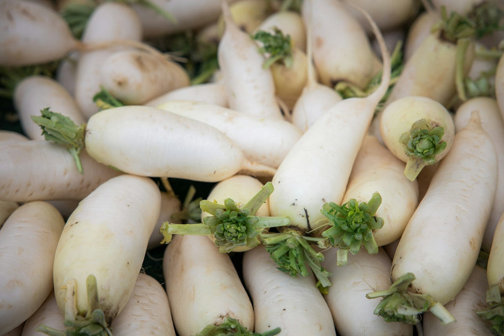 Three  Fun Fall Root Crops for The Adventurous Gardener