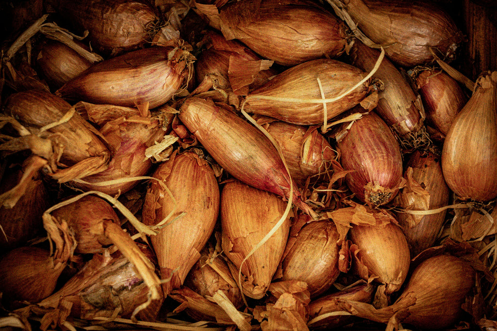 Preserving the Harvest: Quick Pickled Shallots