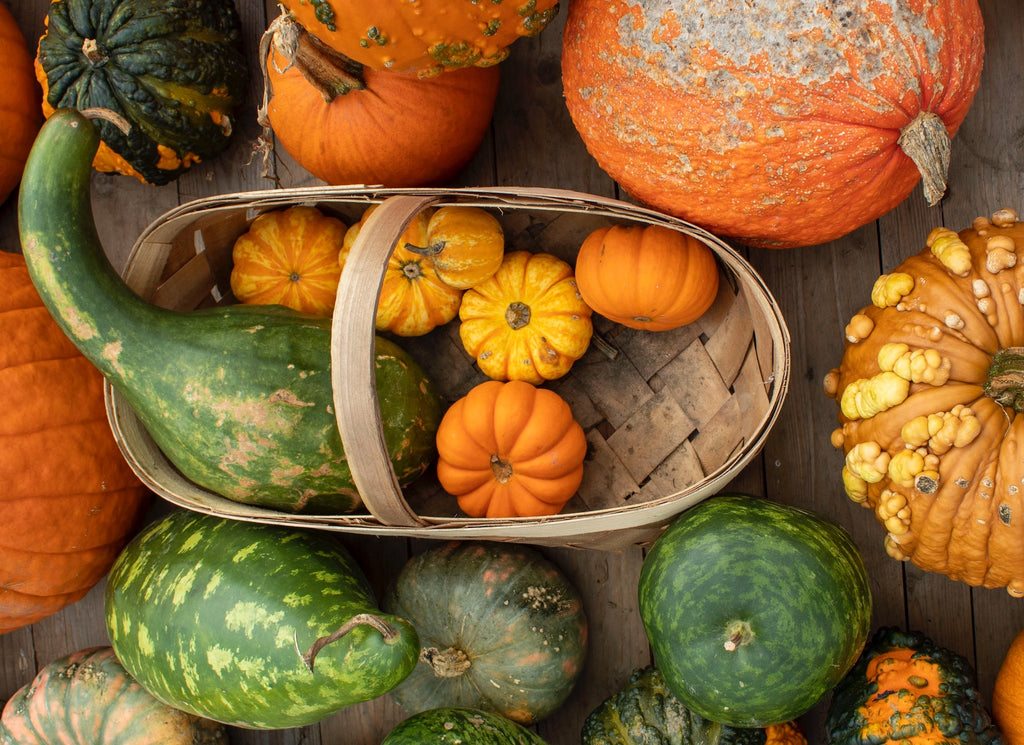 Preserve the Harvest: Winter Squash