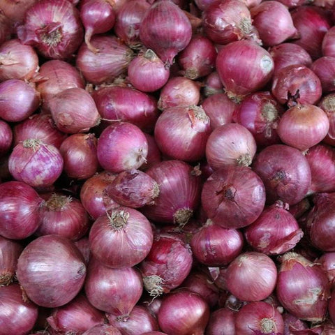Onion, Tropea Rossa Tonda