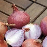 Onion, Tropea Rossa Tonda