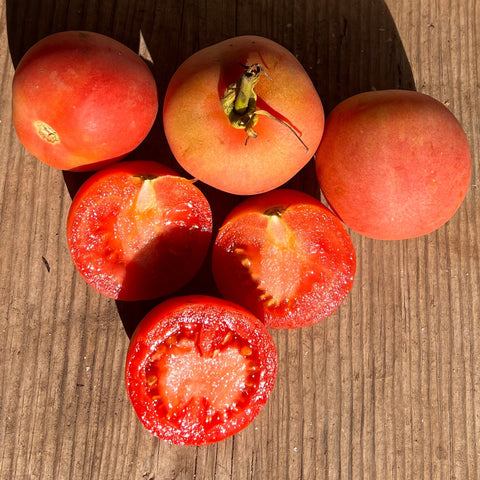 Tomato, Penjar Songil, Storage