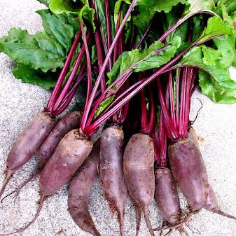 Beet, Forono