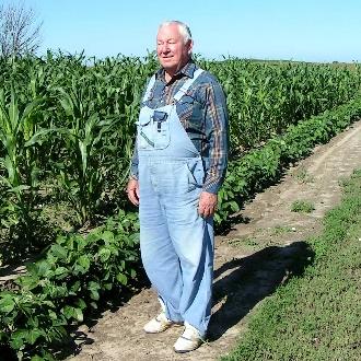 Corn, Glass Gem, Flint