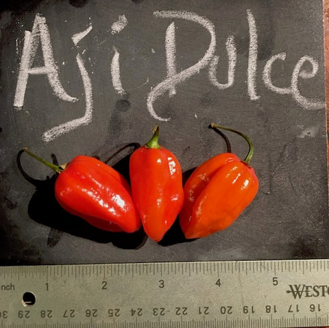 Pepper, Aji Dulce