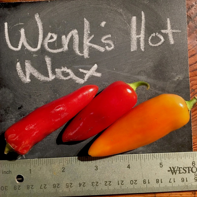 Pepper, Wenk's Yellow Hot