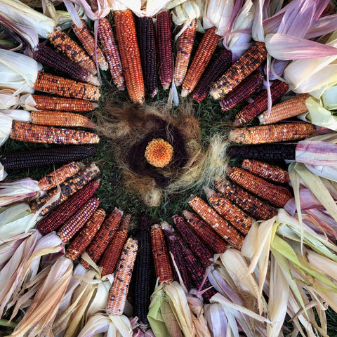 Corn Planter's Bundle