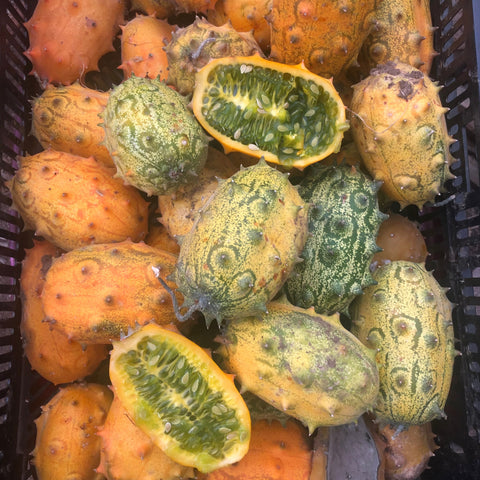 Jelly Melon, Kiwano