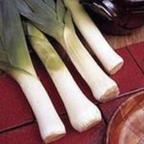 Leek, Ester Cook