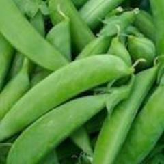 Peas, Sugar Snap
