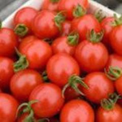 Tomato, Jojo Cherry