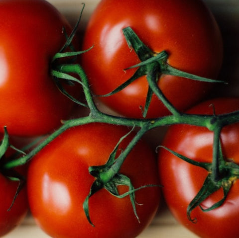 Tomato, Medford