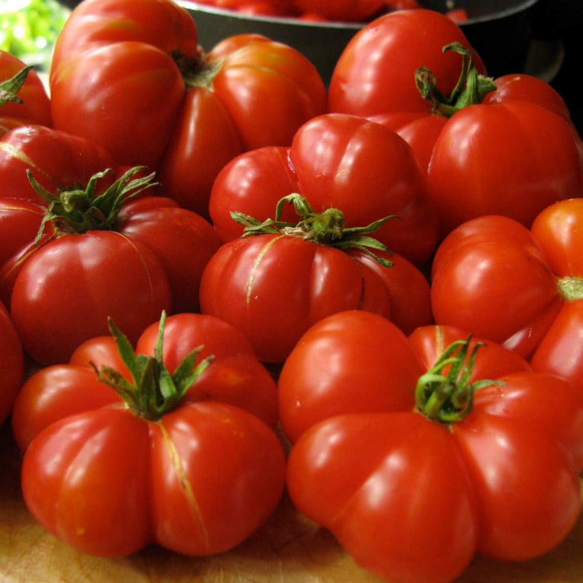 Tomato, Red Calabash