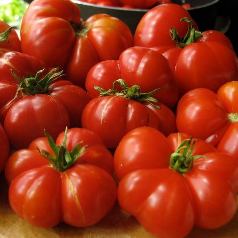 Tomato, Red Calabash