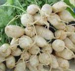 Turnip, Des Vertus Marteau