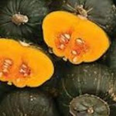 Winter Squash, Uncle David's Dakota Dessert