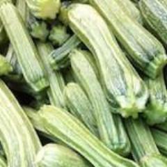 Zucchini, Costata Romanesco