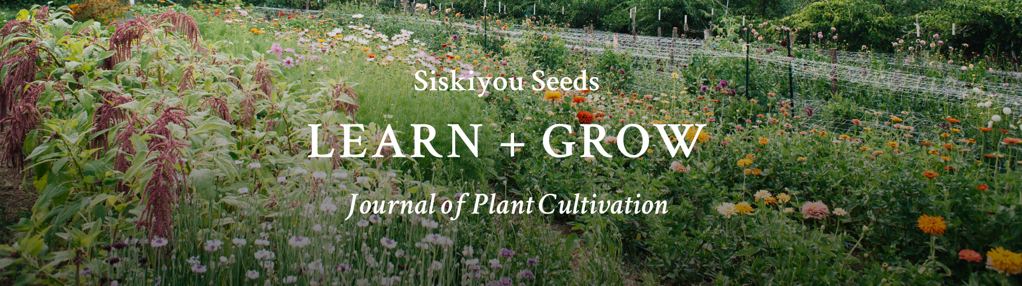 Siskiyou Seeds - Learn + Grow: Journal of Plant Cultivation
