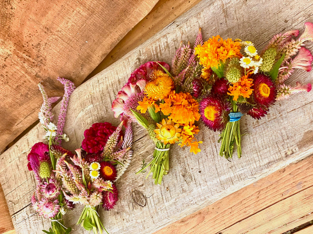 Preserving the Harvest: Dried Flowers