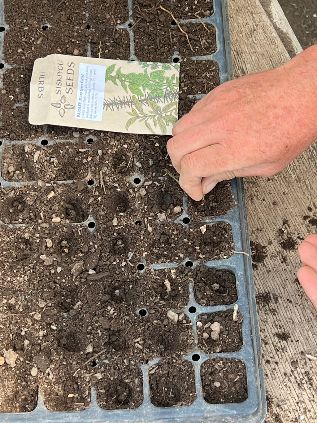 What seeds do you need?