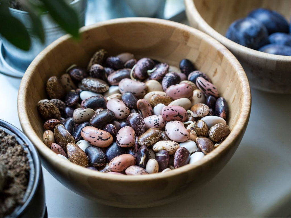 A Guide to Growing Beans