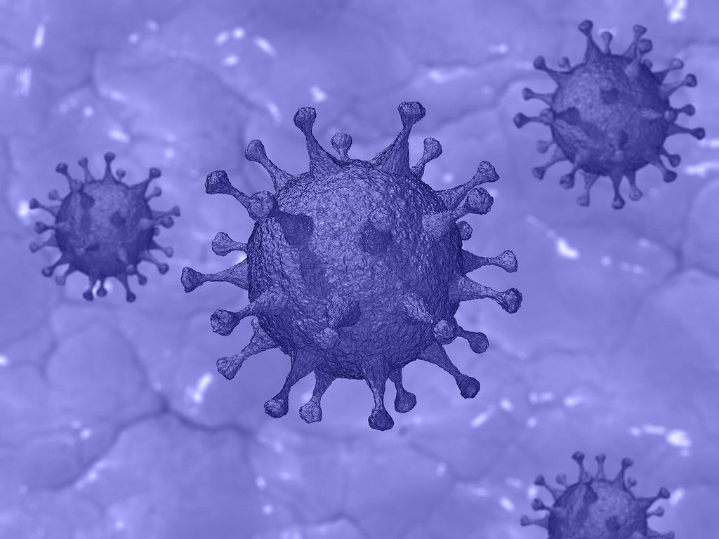 Virus as Messenger