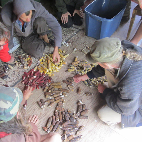 Siskiyou Seeds Originals Bundle