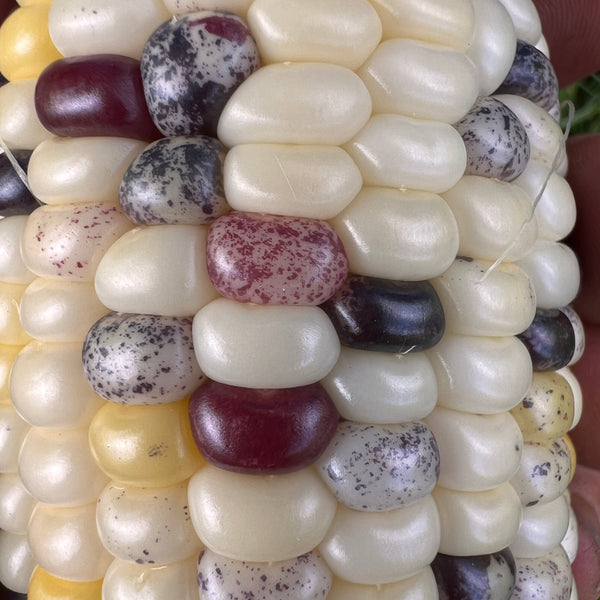 Corn, Festivity, Sweet