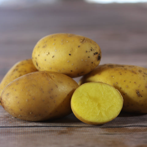 Potato, German Butterball Certified Organic