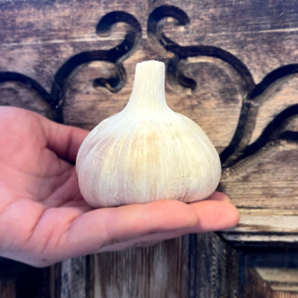 A hand holding a whole garlic bulb in front of a rustic wooden door with carved details.