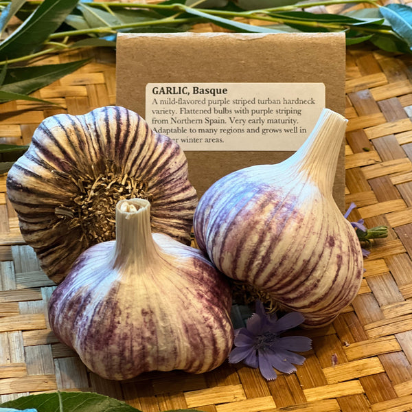 Garlic, Basque