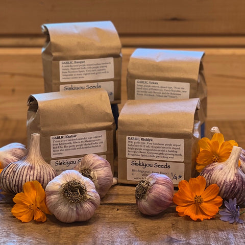 Garlic Sampler, Hardneck