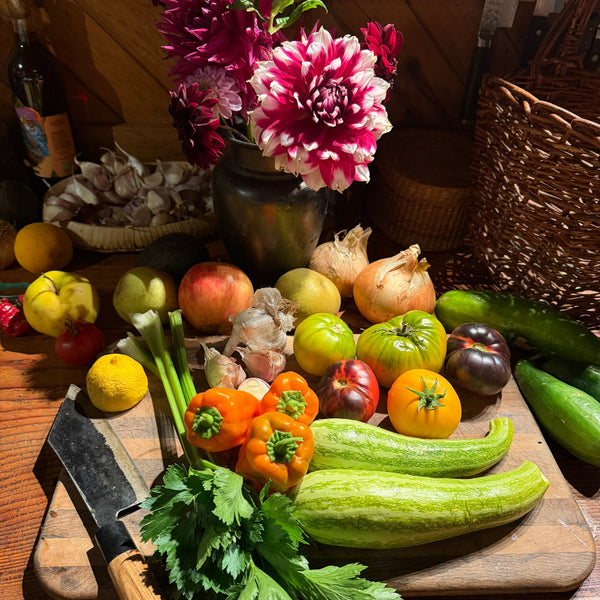 Seed CSA, Large