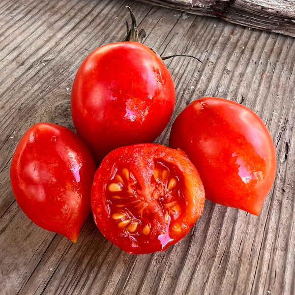 Tomato, de Colgar Bombeta, storage