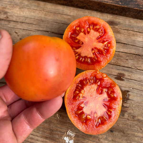 Tomato, de Colgar Son Burgnes, Storage