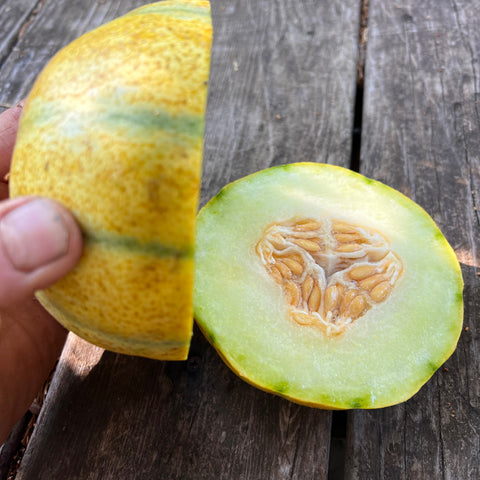 Melon, Ha'Ogen