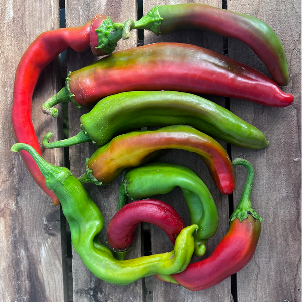 Colorful peppers arranged in a circular pattern on a wooden surface