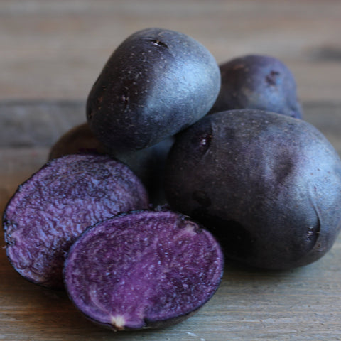 Potato, Purple Majesty Certified Organic