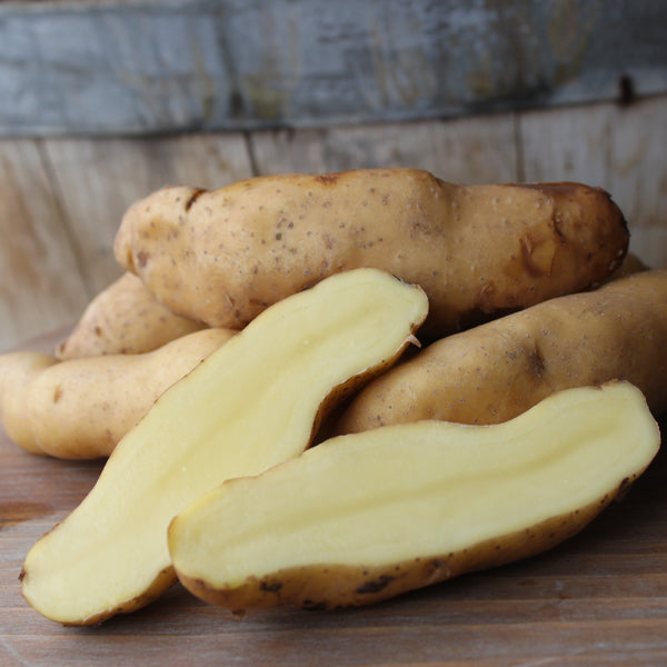 Raw potatoes on a wooden surface with a rustic background