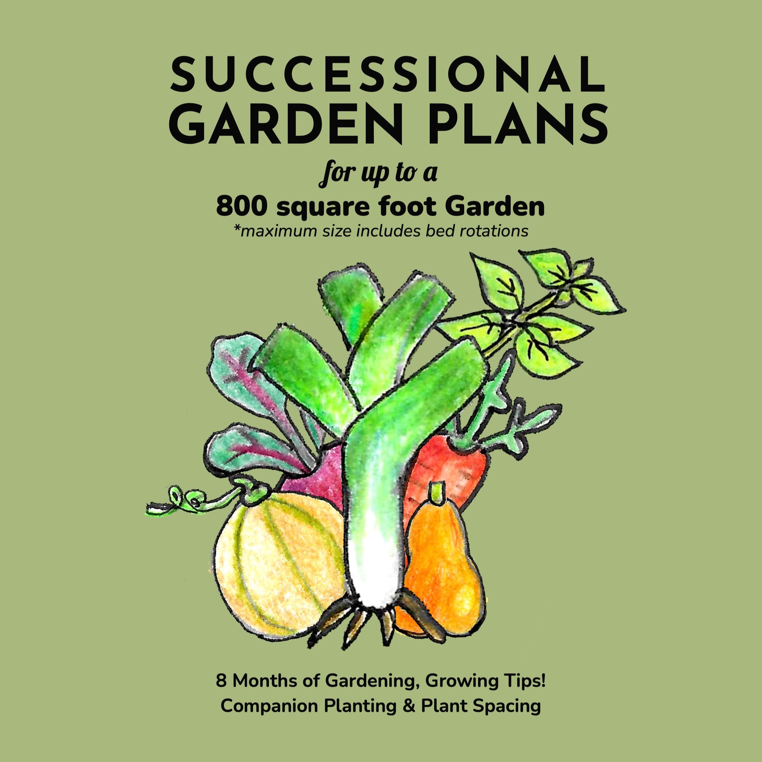 seed planting square Garden Plan Seed Bundle